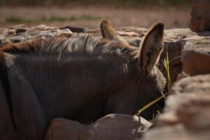 ダウンタイム中に便利な保温マグカップストロー付きの使い方は？