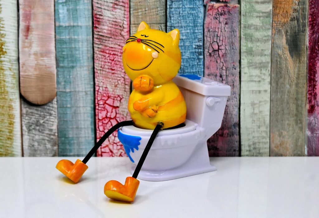 ダウンタイムを快適に過ごすための便座クッション低反発の選び方は？