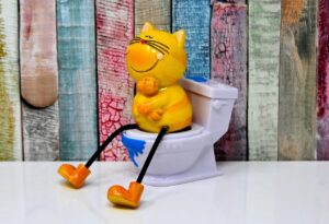 ダウンタイムを快適に過ごすための便座クッション低反発の選び方は？