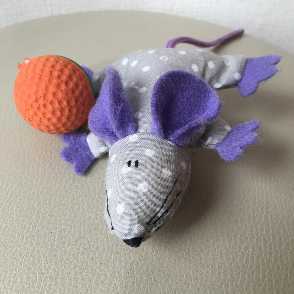 ダウンタイム中の術後に風邪を予防するためのグッズは？