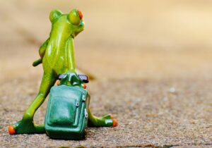 ダウンタイムの旅行予定をキャンセルする際の連絡文例は？