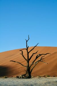 ダウンタイム中に乾燥がひどいときの効果的な保湿方法は？
