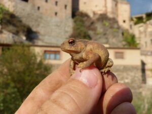 ダウンタイム中の肌荒れを最小限に抑える方法は？